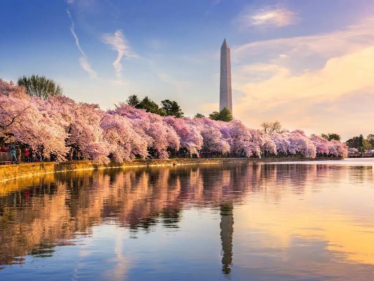 Washington, DC:  The Capital City With the World’s Most Famous House