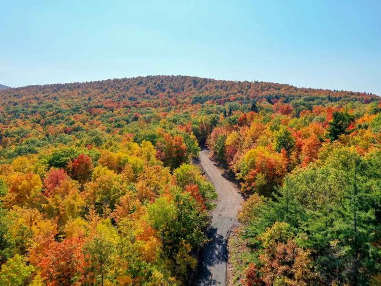 The Catskills: The Former Borscht Belt Region With a Farm-to-Table Focus
