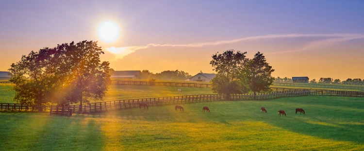 Kentucky: The US State With Caves of Mammoth Proportions
