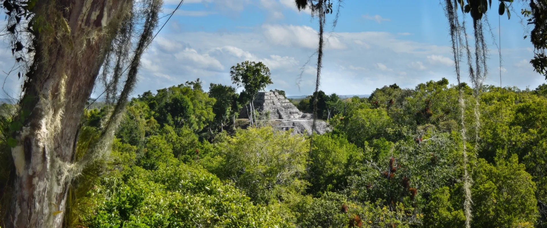 View of El Mirador in Guatemala