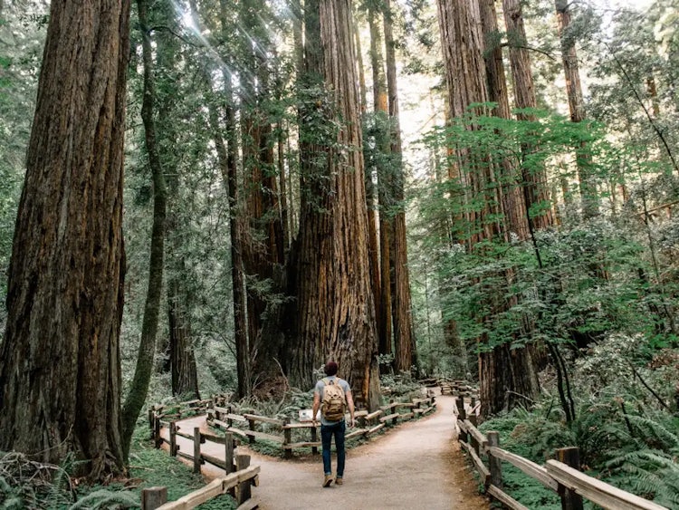 22 Best Day Trips From San Francisco