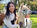 Wendy Huang