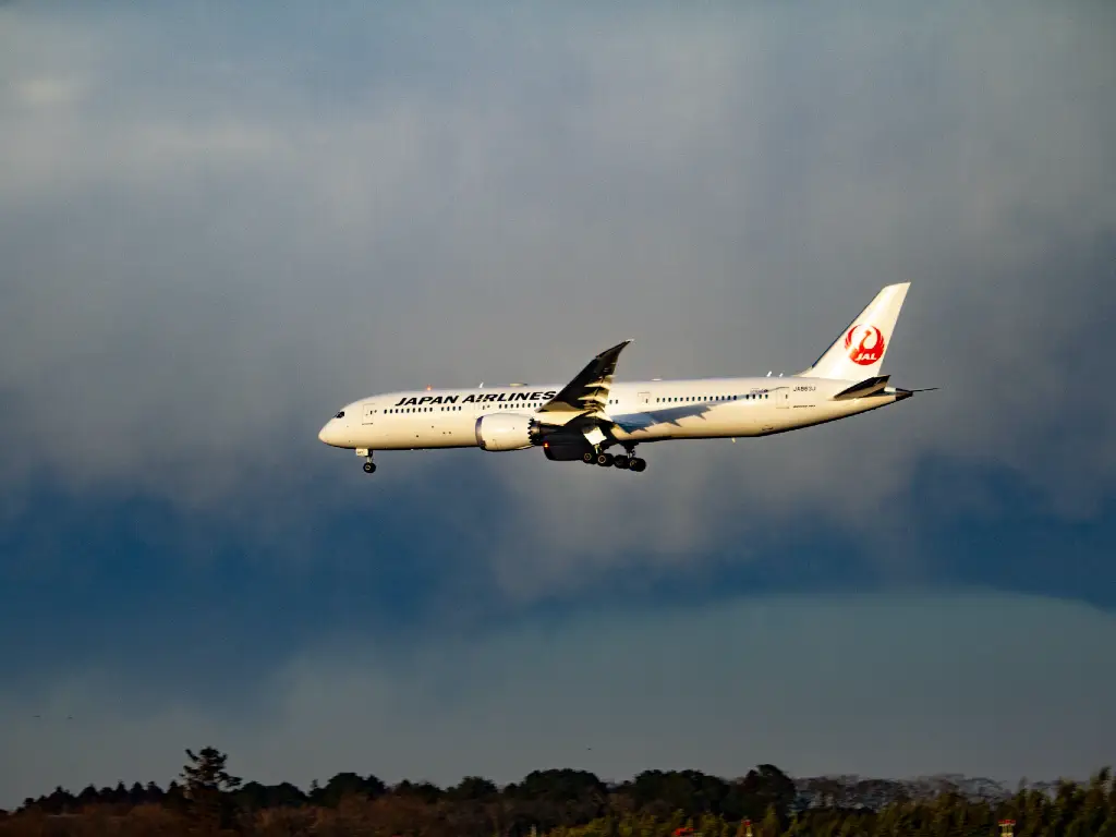 JAL plane.