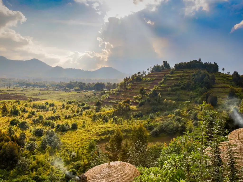 landscape of Rwanda