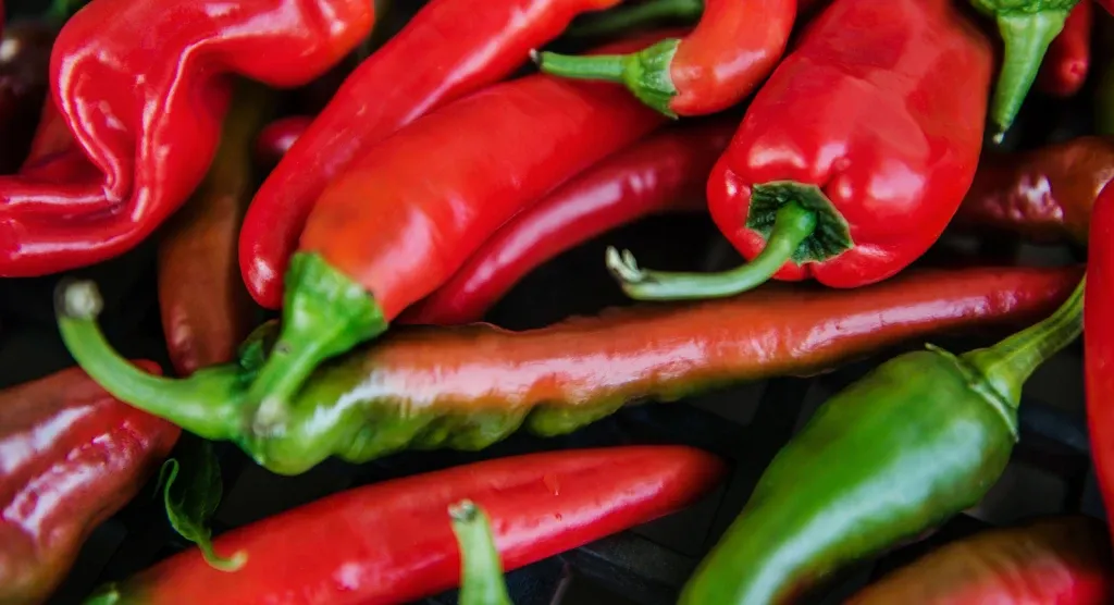 new mexico chiles