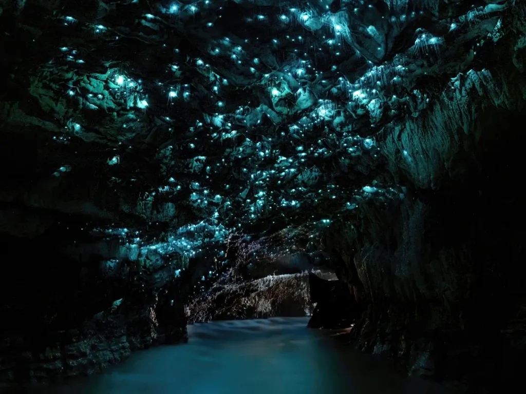 Inside the Waitomo Glowworm Caves in New Zealand