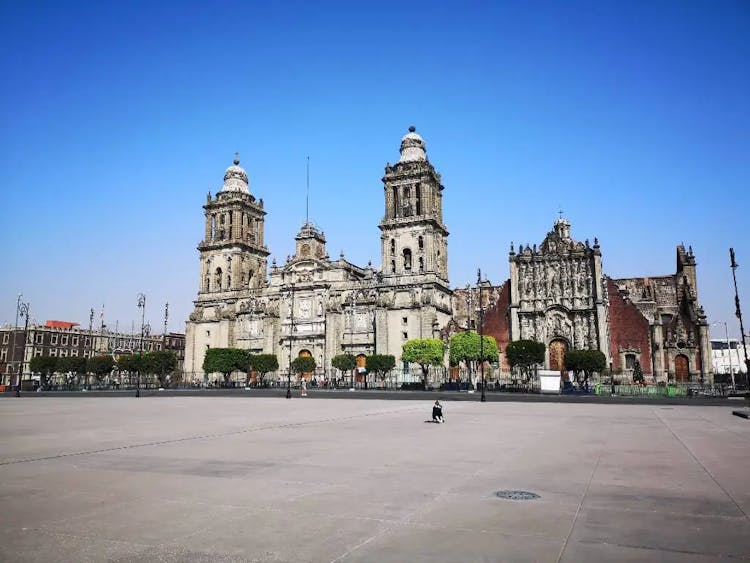 The Layover Guide to Mexico City