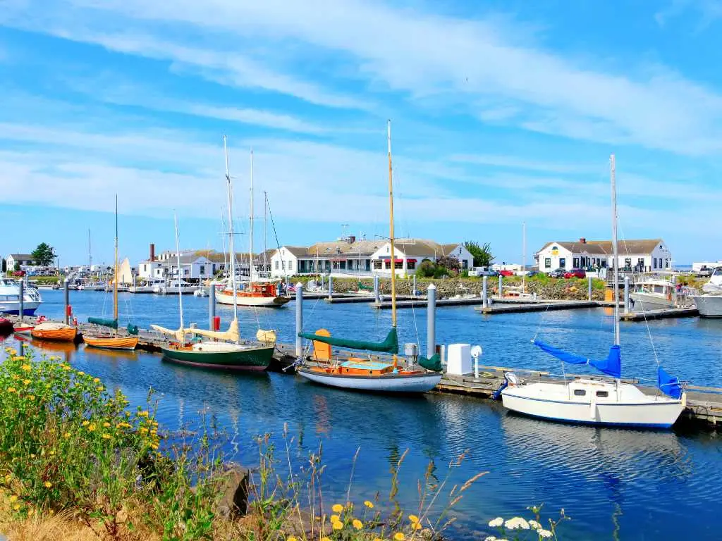 harbor in port townsend.