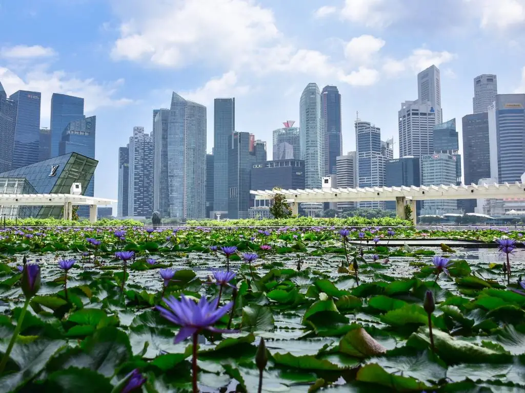 Singapore: The “Little Red Dot” That’s Nearly 50% Green