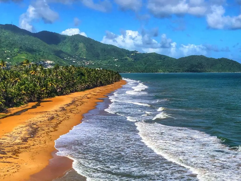 beautiful beach in Puerto Rico.