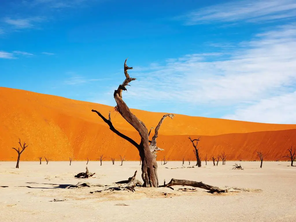 Namibia: The African Nation Home to the Oldest Desert in the World
