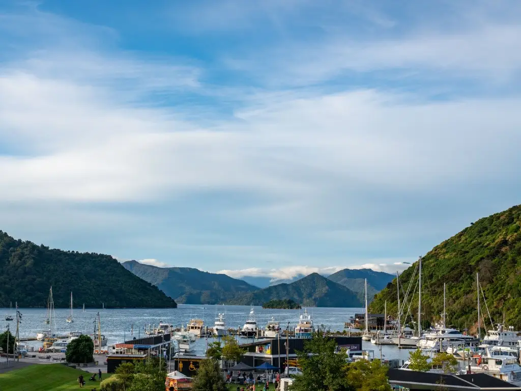 Looking out over the sounds in Marlborough, New Zealand