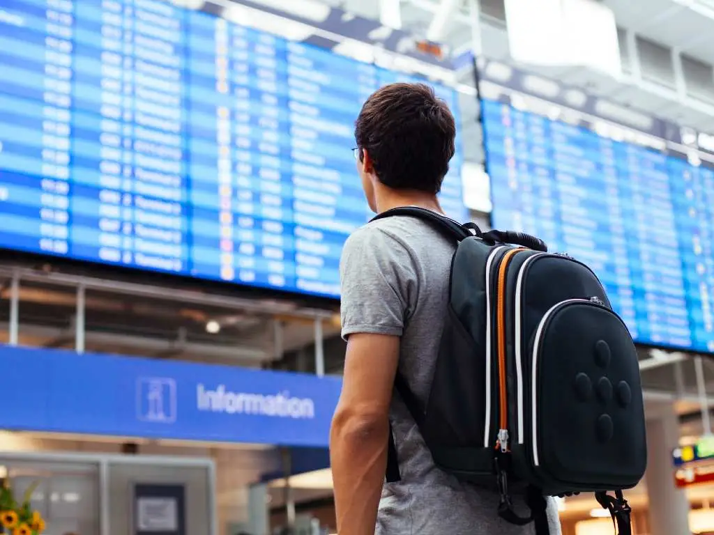 traveler looking at departures board at airport.