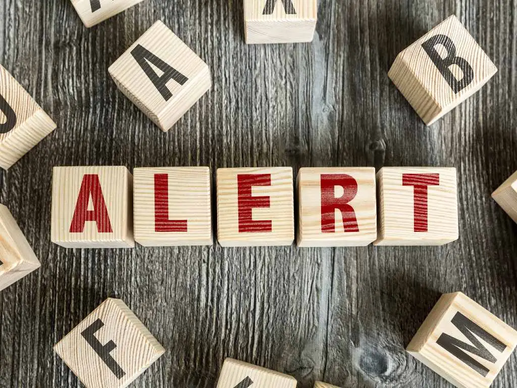 How To Set Up Flight Price Alerts and Never Miss a Low Fare