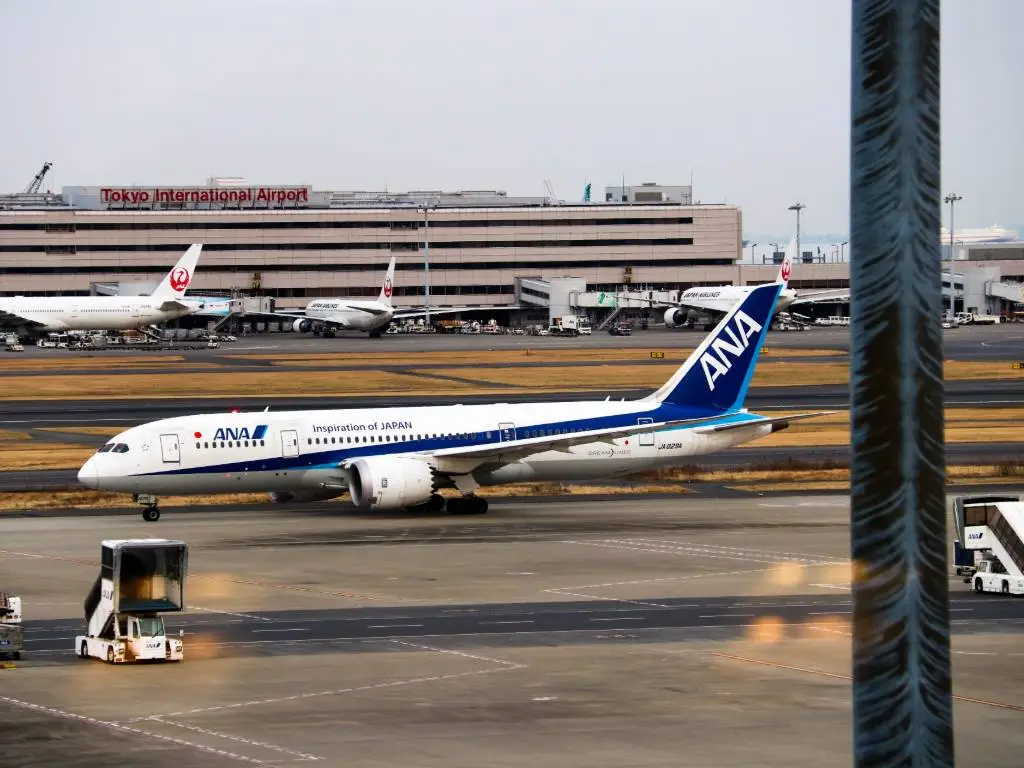 ANA airplane