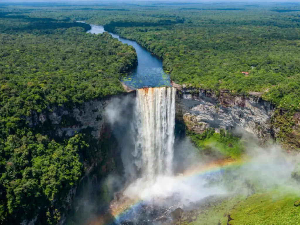 Guyana: The South American Country With Some of the World's Biggest Creatures