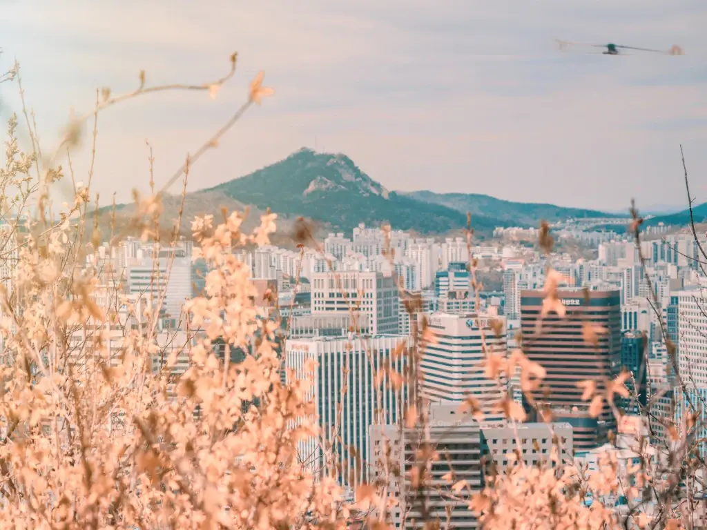 Seoul: The Asian Capital Where K-Pop and Confucianism Mingle