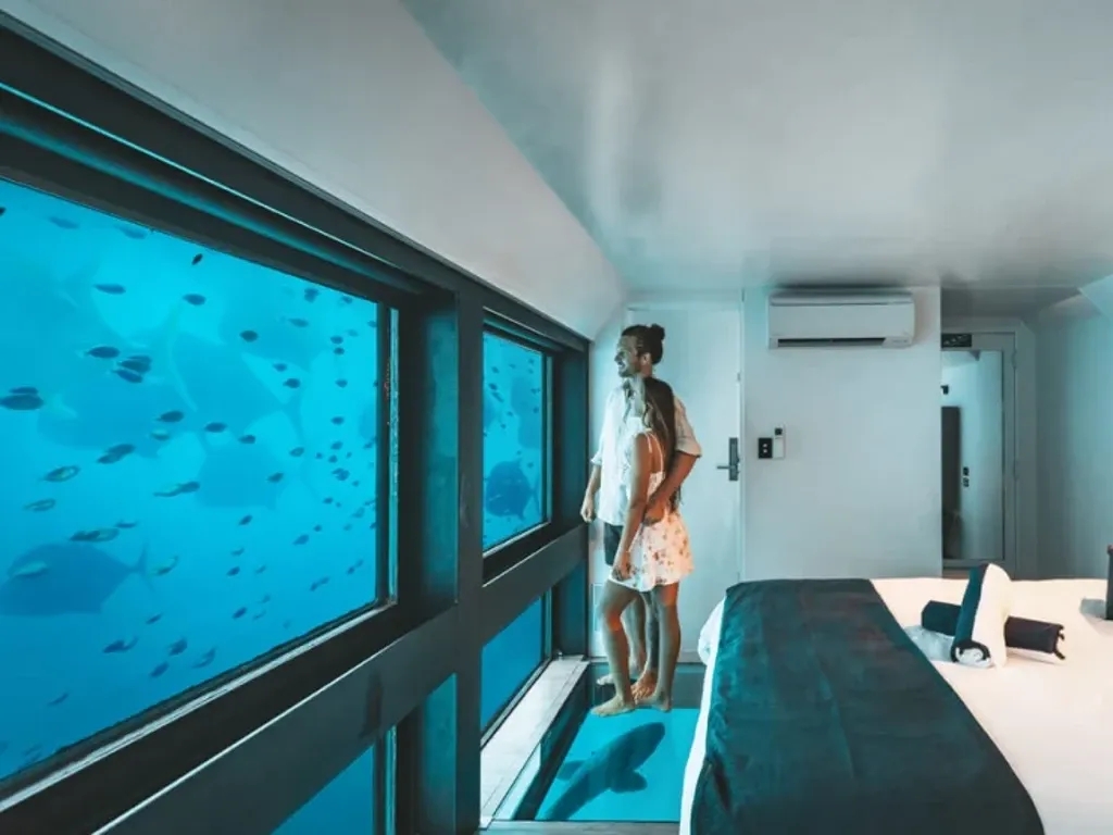 A couple stands in their Reefsuite looking at the marine life on the Great Barrier Reef