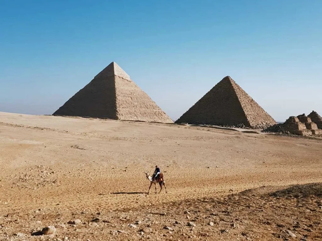 A camel carrying a man walks in the desert in front of the Pyramids of Giza