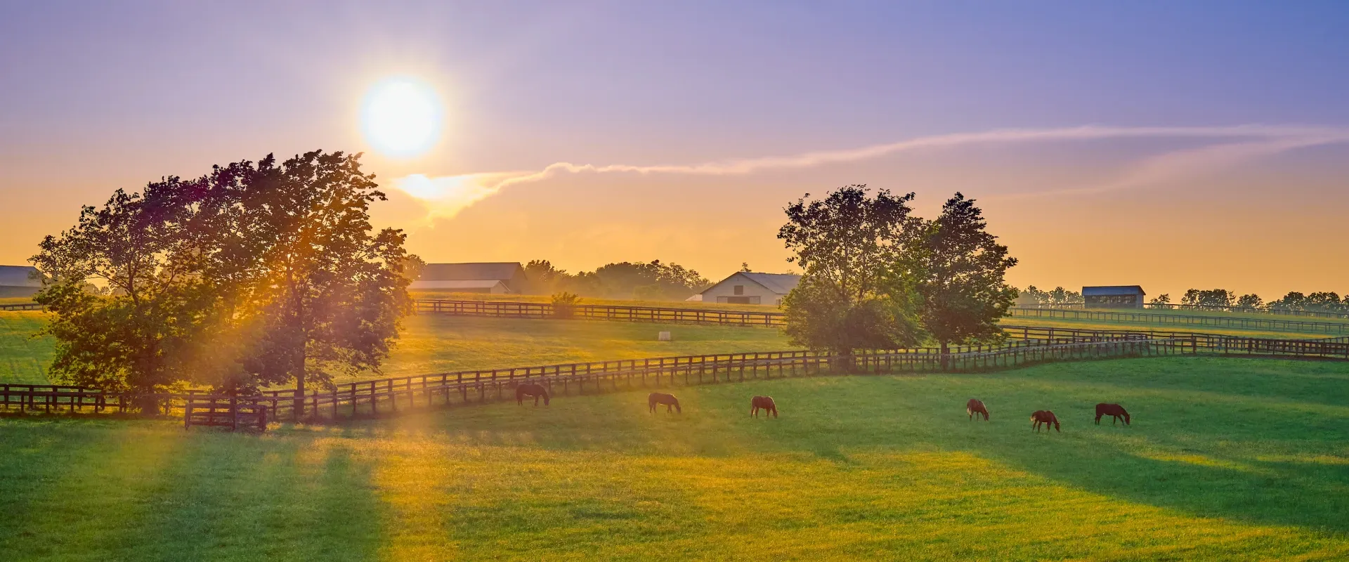 Rolling plains with horses grazing in Kentucky