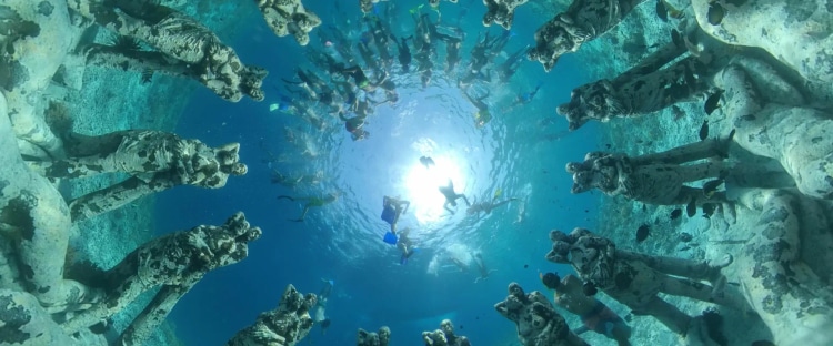 Snorkeling in Grenada's Molinere Bay Underwater Sculpture Park