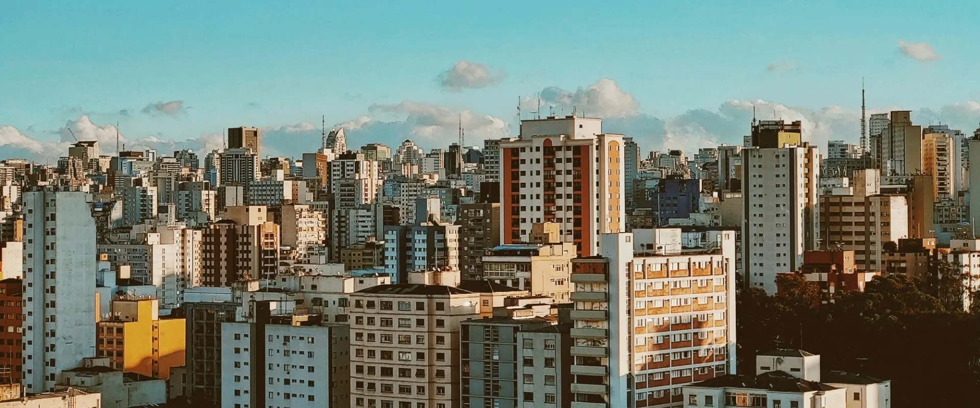 The São Paulo skyline