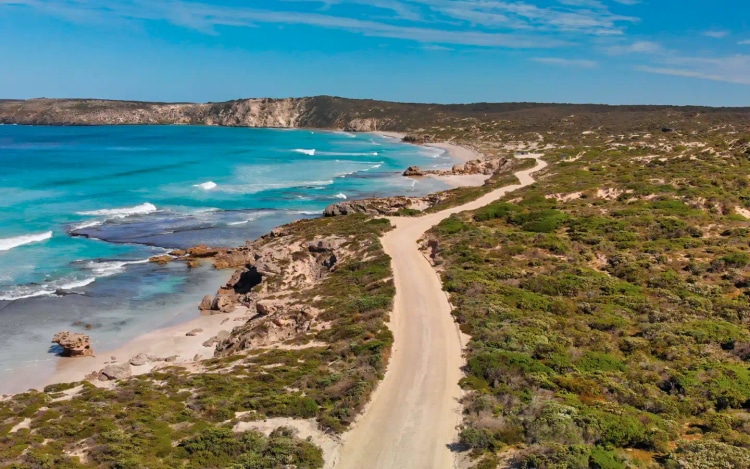 The Australian Island Home to 65,000 Kangaroos