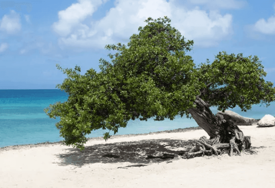 This Caribbean Destination Was Just Named the Safest in the Region—With 'Exceptional Security' and the 'Lowest Crime Rates'