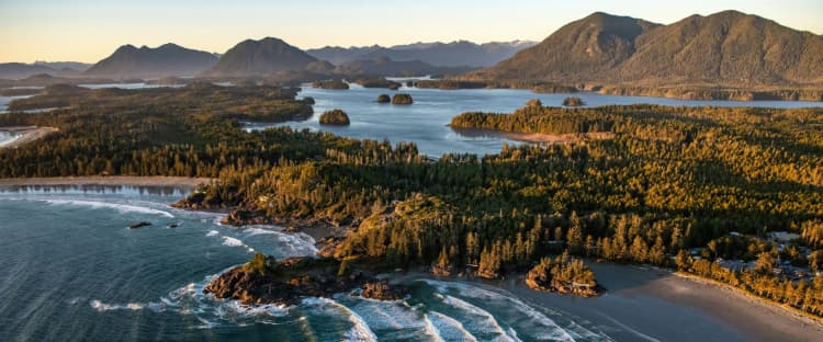 Vancouver: The Canadian City That's Home to a Massive Urban Rainforest