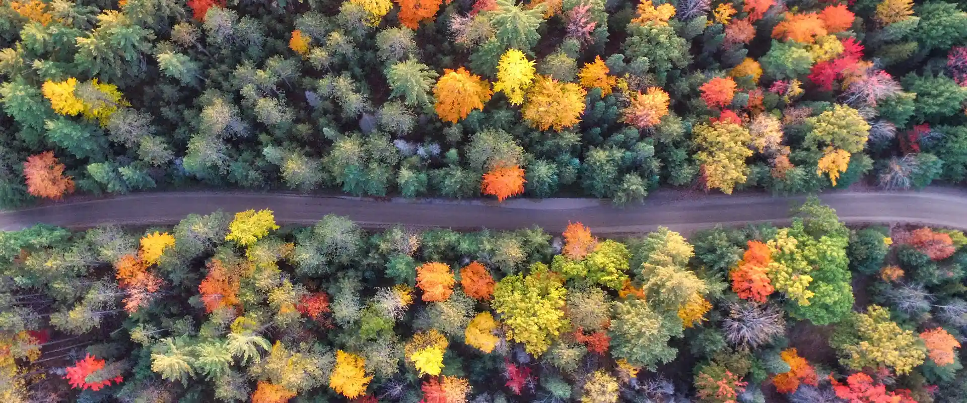 Places To Go for Thanksgiving: Top Spots To Celebrate in 2025