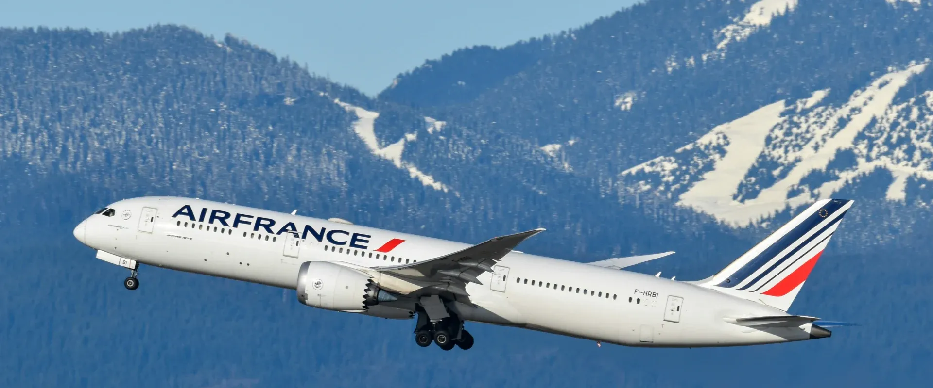 Air France plane flies in front of snowy mountains