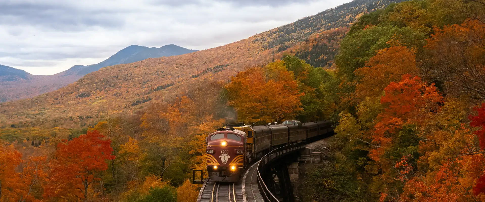 Thanksgiving Travel Guide