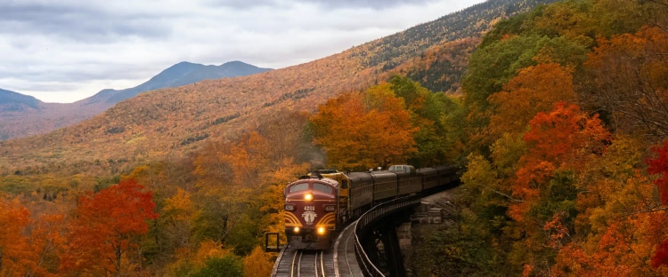 Thanksgiving Travel Guide