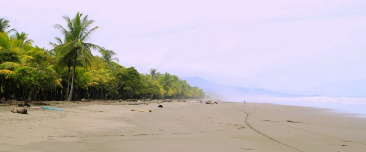 Best Time to Visit Costa Rica: Full Seasonal Guide
