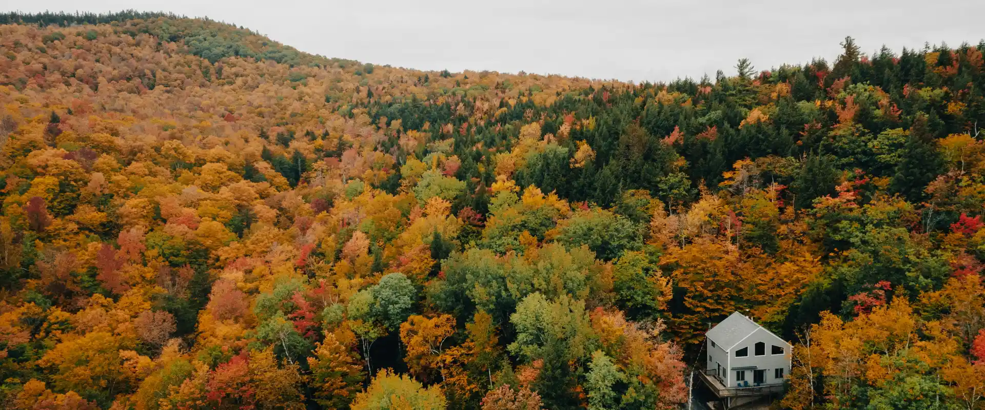 A house surrounded by fall foliage