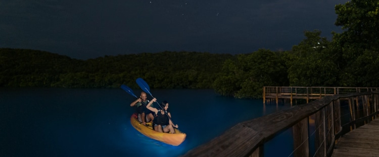 Boat Through Puerto Rico’s Record-Breaking Bioluminescent Bays