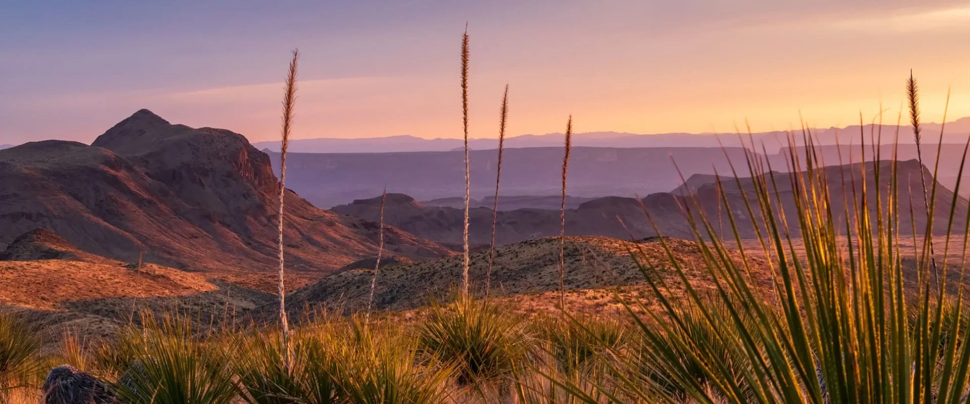 Desert landscape at sunset in West Texas