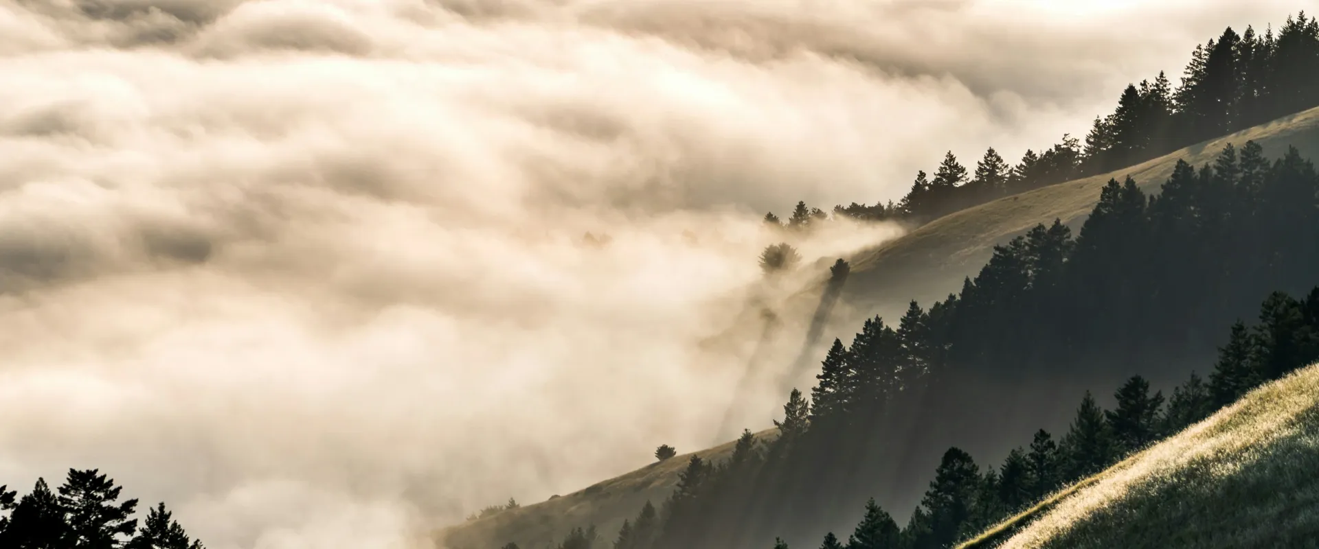 Mount Tamalpais, California