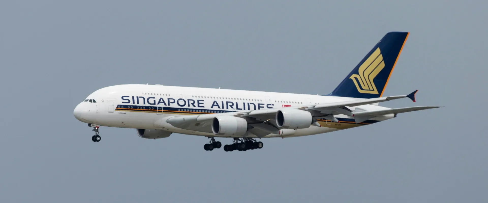 Singapore Airlines Premium Economy Review: What I Loved and Didn't