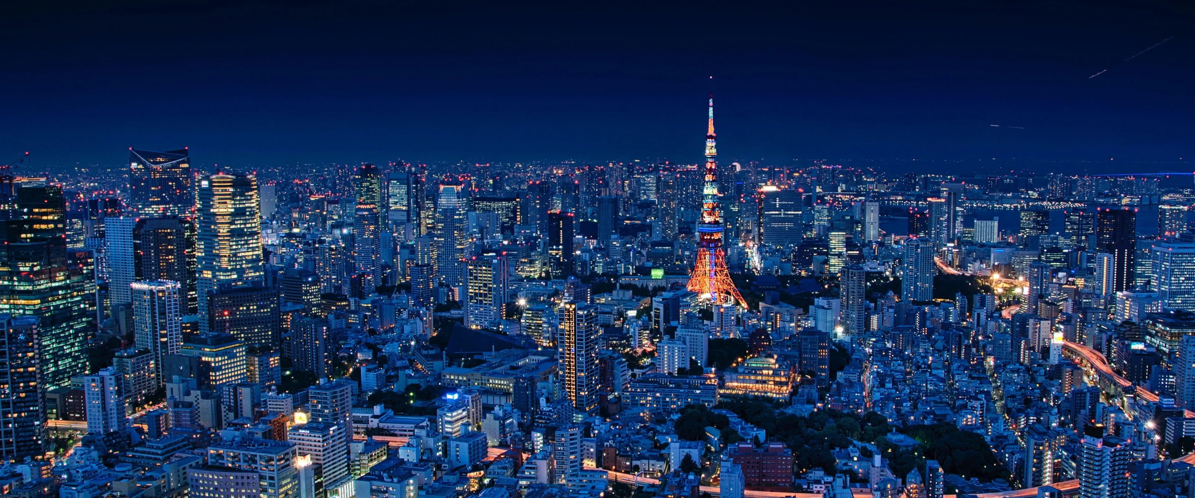 Tokyo at night