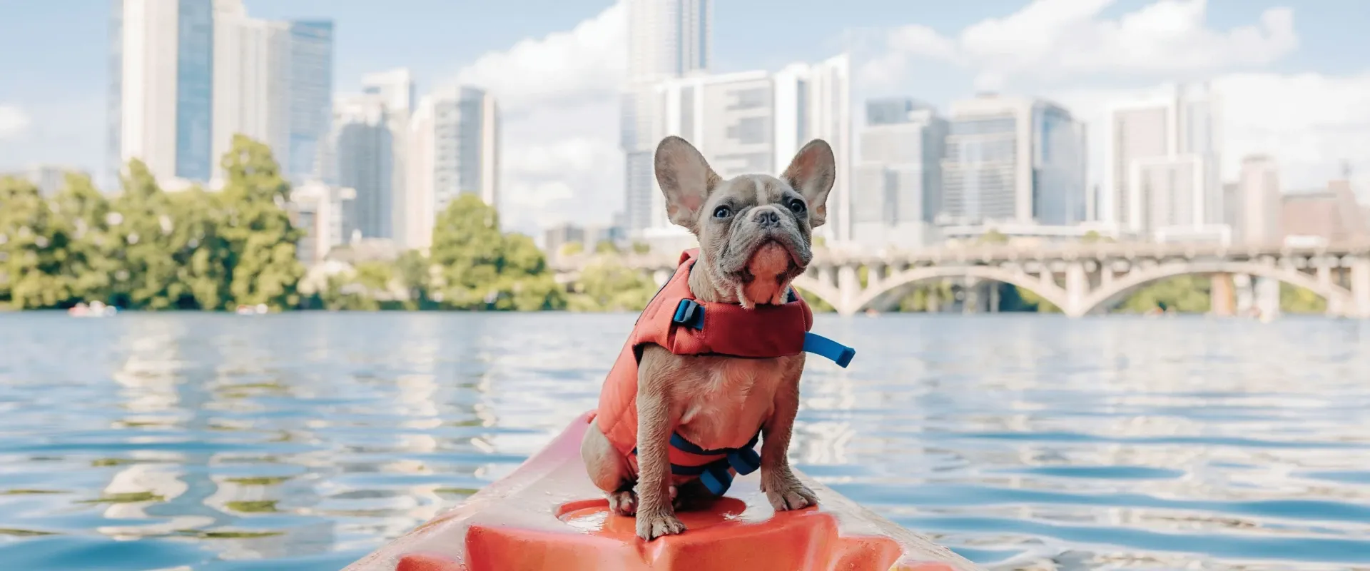 Dog sits on a kayak on the water